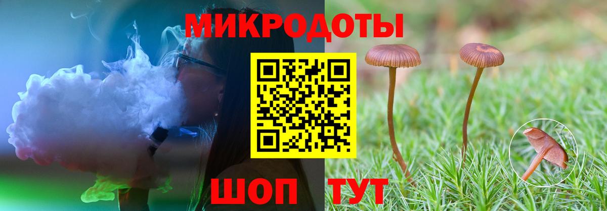 Югорск  Галлюциногенные грибы Psilocybine cubensis  Вход с VPN 